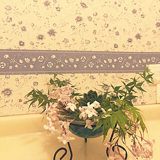 お花に癒されます/お花を飾る/トイレ飾り棚/トイレインテリア/トイレの壁...などのインテリア実例 - 2020-05-05 21:09:02