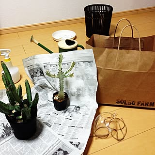 SOLSO FARM/一人暮らし/植物のインテリア実例 - 2014-03-23 20:07:38