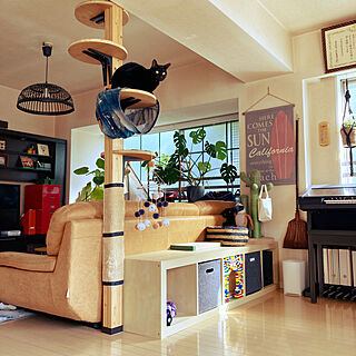 IKEA/キャットタワーDIY/DIY/ねこが好き/猫と暮らす家...などのインテリア実例 - 2023-05-17 08:19:53