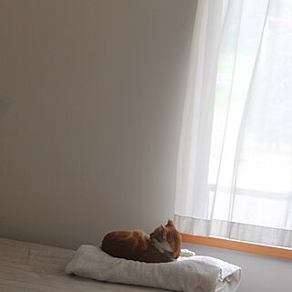 ベッド周り/猫 好きな場所のインテリア実例 - 2016-07-17 13:46:11