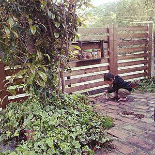 庭/レンガ/DIY/木製フェンスのインテリア実例 - 2014-04-14 17:52:22