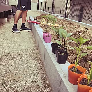 部屋全体/夏野菜/庭/家庭菜園コーナー/家庭菜園のインテリア実例 - 2017-04-03 22:32:33