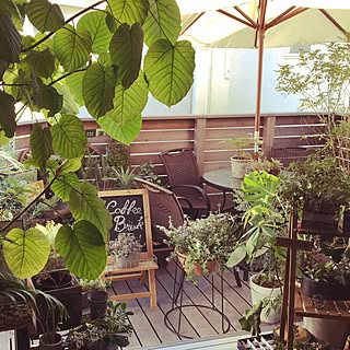 部屋全体/観葉植物/カフェ風/ウッドデッキ/フォロー&いいね ありがとうございます♡...などのインテリア実例 - 2016-08-25 21:12:35