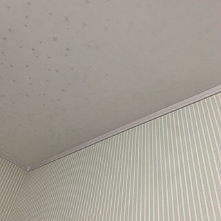 リリカラクロス/リリカラ/ミントグリーン×ホワイト/壁/天井のインテリア実例 - 2021-03-10 21:37:04