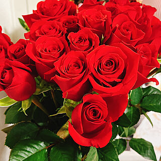 薔薇のある暮らし/薔薇が好き/薔薇/サプライズ便/サプライズプレゼント...などのインテリア実例 - 2022-02-20 09:23:47