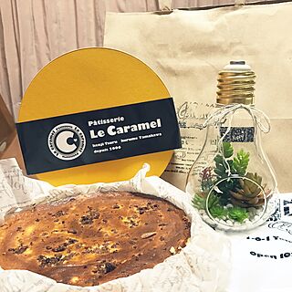 BUKOレアチーズケーキ/Le Caramel/Francfranc/雑貨/多肉植物...などのインテリア実例 - 2017-02-24 22:31:49