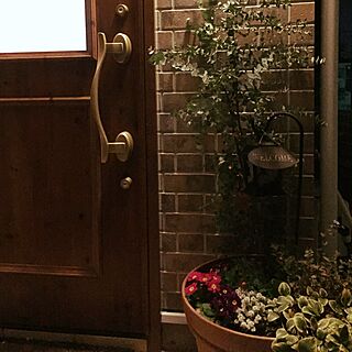 玄関/入り口/冬のお花/玄関ドア LIXIL/LIXIL/受験生を応援します...などのインテリア実例 - 2016-11-19 21:11:02