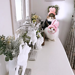 机/雑貨/海外インテリアに憧れて♡/猫のいる暮らし/いつもいいねやコメントありがとう♡...などのインテリア実例 - 2019-02-17 22:16:46