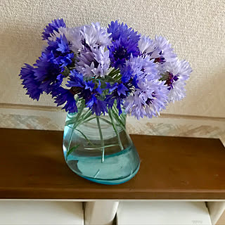 庭の花を飾る/いぬと暮らす/ネコと暮らす/自己流/雑草のある暮らし...などのインテリア実例 - 2019-05-24 07:40:48