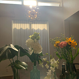 日光浴の為植物集合/生花/花のある暮らし/リビングのインテリア実例 - 2021-04-09 08:04:25