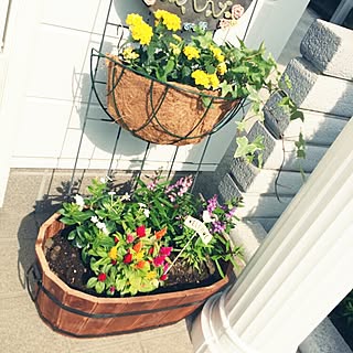 ダイソー フラワー壁掛けカゴの商品を使ったおしゃれなインテリア実例 Roomclip ルームクリップ