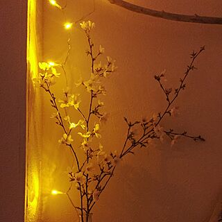 玄関/入り口/ライトアップ/ライティング/夜桜/桜...などのインテリア実例 - 2016-04-06 21:52:46