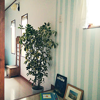 部屋全体/アクセントクロス/観葉植物好き❤/平屋なのに二階建て^^;/いいね♪いつもありがとうございます❤️...などのインテリア実例 - 2018-09-19 06:50:52