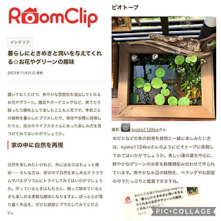 部屋全体/見ていただき感謝です❤︎/いつもいいねありがとうございます♡/RoomClip mag 掲載/RoomClip mag...などのインテリア実例 - 2023-11-21 19:08:36