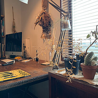 机/interior/GREENのある暮らし/my room/観葉植物...などのインテリア実例 - 2019-02-09 21:06:05