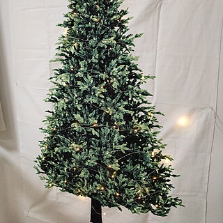 リビング/クリスマスツリータペストリー/クリスマスツリーのインテリア実例 - 2020-11-20 22:33:48