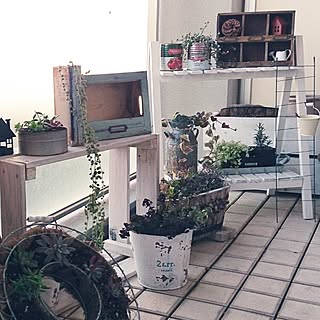 部屋全体/雑貨/DIY/植物/ベランダ...などのインテリア実例 - 2015-02-10 16:53:32