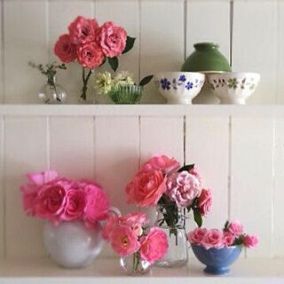 棚/ミニバラ/薔薇/DIY板壁/植物...などのインテリア実例 - 2013-05-29 12:54:09