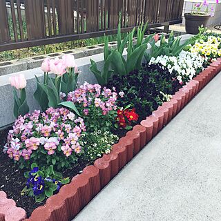 玄関/入り口/花壇DIYのインテリア実例 - 2016-04-09 12:45:31