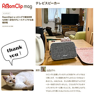 テレビスピーカー/RCショッピング購入品/笹かま猫/嬉しいです♡/mag掲載5回目...などのインテリア実例 - 2022-09-15 18:22:35