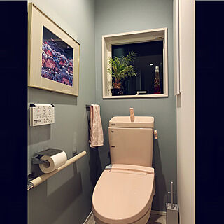 アメージュZ/ピンクのトイレ/LIXILトイレ/ピンクの便器/アートのある暮らし...などのインテリア実例 - 2021-09-27 21:54:32