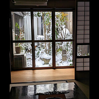 京都/京町家に住む/雪/坪庭のある暮らし/植物と暮らす...などのインテリア実例 - 2023-01-25 12:34:38