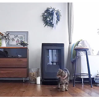 クリスマスリース/ペレットストーブ/ねこ/ねこ部/リース...などのインテリア実例 - 2019-12-24 21:34:38