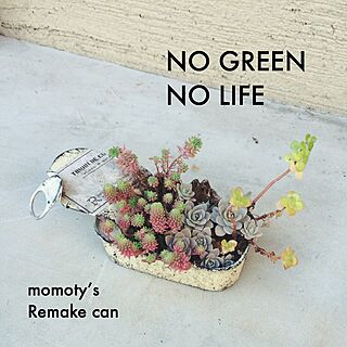 momotyちゃんのリメ缶/NO GREEN NO LIFE/多肉植物/寄せ植え/セダムのインテリア実例 - 2014-10-30 19:29:39