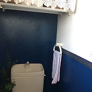 ペイント壁/DIY/セリア/リノベーション/バス/トイレのインテリア実例 - 2019-09-25 23:59:08