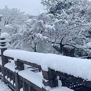 高知/高知家/事故多発/ドカ雪/雪...などのインテリア実例 - 2022-12-23 11:01:40