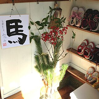 玄関/入り口/植物/靴のインテリア実例 - 2014-01-03 13:16:28