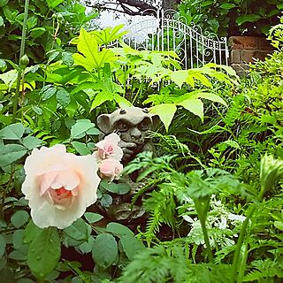 玄関/入り口/薔薇が好き/花のある暮らし/庭/レンガ壁...などのインテリア実例 - 2016-05-10 09:25:34