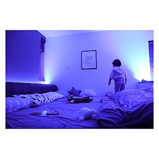 ベッド周り/ライブハウス/寝室の照明/寝室/Hue Go モニター...などのインテリア実例 - 2017-01-29 23:21:18