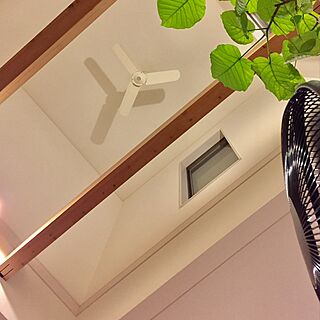 壁/天井/扇風機/観葉植物/シンプルが好き/緑が好き...などのインテリア実例 - 2017-06-23 20:15:14