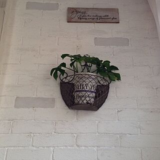 壁/天井/DIY/観葉植物/発泡スチロールレンガ壁のインテリア実例 - 2014-03-12 07:54:53