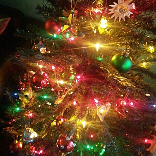 クリスマス/Fling TIGERのインテリア実例 - 2015-11-06 21:38:36