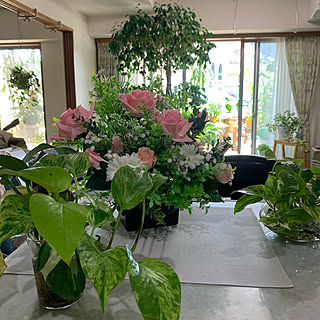 掃除したてのリビング/ダイソーの造花でアレンジ/海外風インテリア/癒し/観葉植物のある暮らし...などのインテリア実例 - 2022-03-06 07:51:30