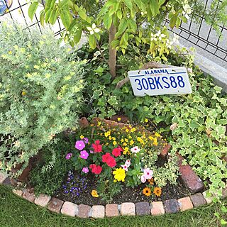 花/庭/ガーデン/ナンバープレート/DIY...などのインテリア実例 - 2016-06-10 07:31:00
