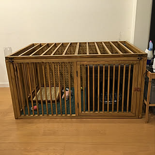 犬ゲージのインテリア実例 Roomclip ルームクリップ