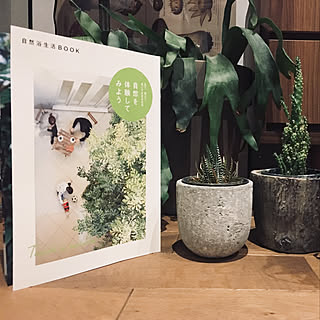 棚/フリーペーパー/多肉植物/エクステリア/自然浴生活BOOK...などのインテリア実例 - 2018-12-26 09:01:09