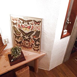 玄関/入り口/ちょうちょ/IKEA/ビンテージのインテリア実例 - 2014-02-01 20:10:00