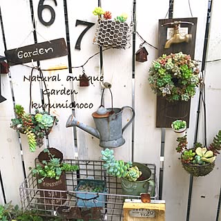 玄関/入り口/サビサビ Garden /古道具を主役に/多肉を愉しむ/多肉寄せ植え...などのインテリア実例 - 2016-06-26 08:46:31