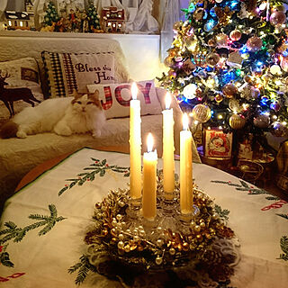 クリスマス/キャンドル/クリスマスツリー/海外のクリスマスに憧れる/猫と暮らす...などのインテリア実例 - 2019-12-22 20:21:02