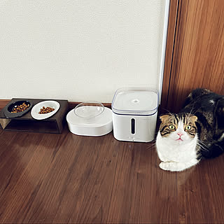 モノトーン/PETKIT/猫ごはん/給水器/猫コーナー...などのインテリア実例 - 2021-07-06 14:49:04