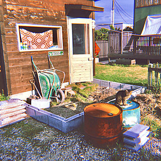 小屋DIY/グリーンのある暮らし/ねこのいる日常/庭 DIY/古いものが好き...などのインテリア実例 - 2019-08-27 19:47:09