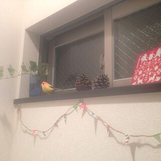 バス/トイレ/松ぼっくり/アイビー/小鳥さん/クリスマス...などのインテリア実例 - 2013-12-23 00:34:40