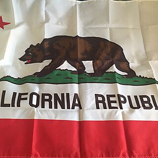 カリフォルニア/留学/国旗のインテリア実例 - 2015-12-01 09:10:44