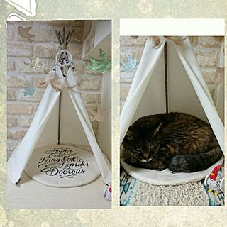 ねこのいる日常/手作り/猫ベッドDIY/ティッピーテント猫用/お友達はニワトリのジョニー...などのインテリア実例 - 2017-02-18 23:27:17