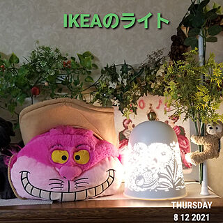 棚/インテリア/キュリオケース上/IKEAのライト/ディズニー♡...などのインテリア実例 - 2021-08-12 19:31:40