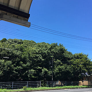 気持ちいい風/あまりに綺麗だったので…/緑がきれい/雲ひとつない青空/晴天...などのインテリア実例 - 2021-08-05 23:20:48